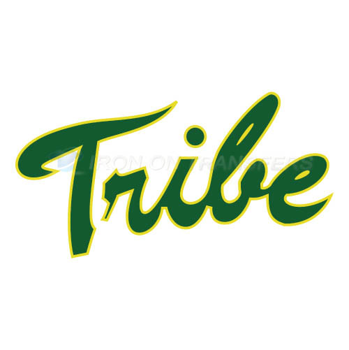 William and Mary Tribe Logo T-shirts Iron On Transfers N7005